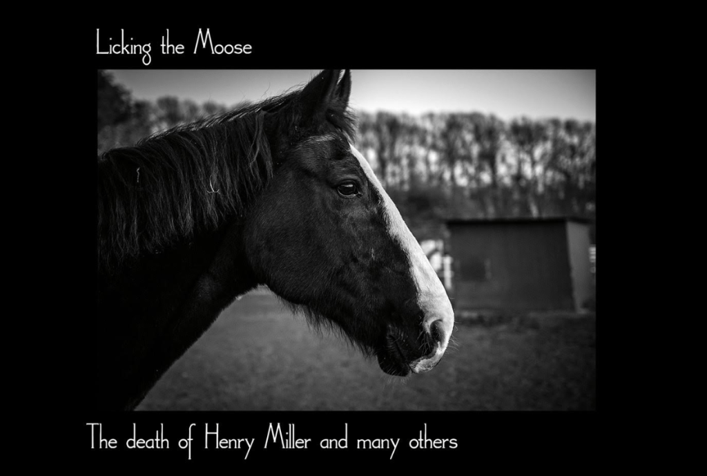 Licking the Moose, LTM, is a classic country-western groupp that brings traditional country to life.